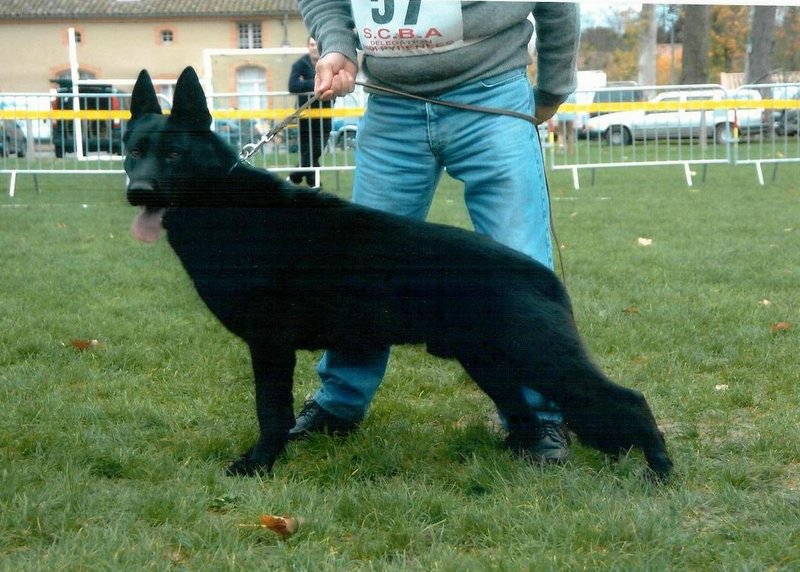 Ass de L'Ancien Bungalow